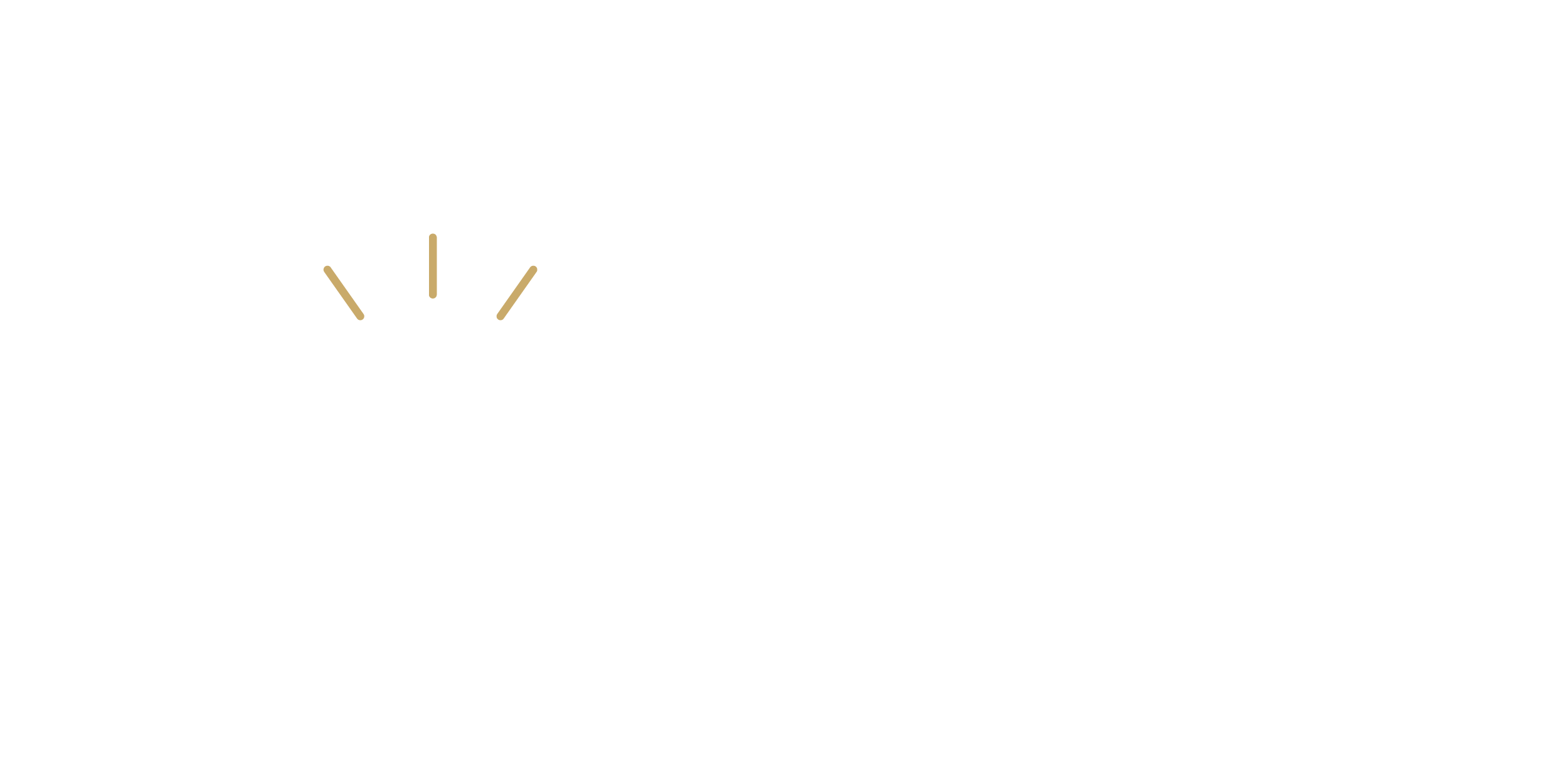 Novelya